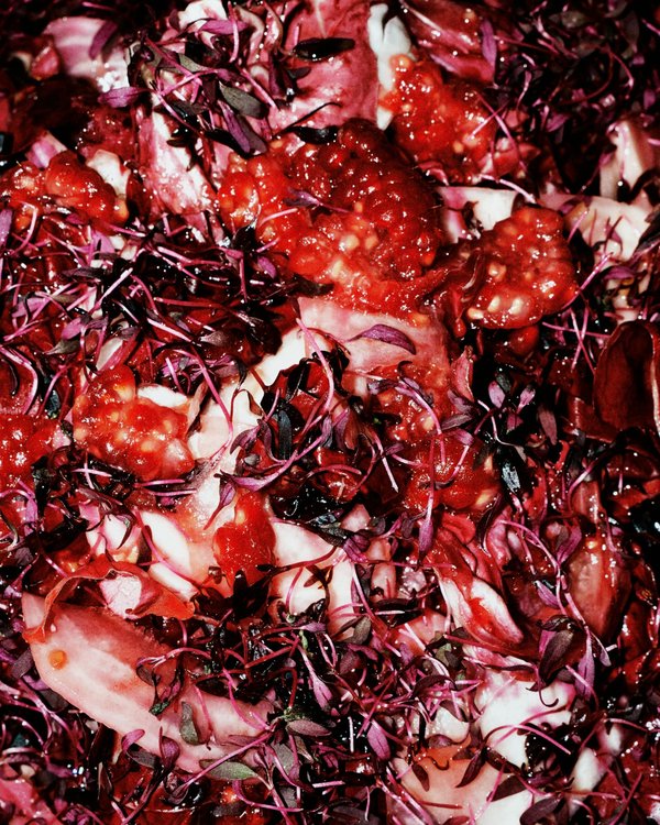 Bio vegan : l'art de manger éthique et savoureux